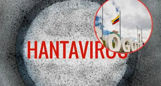 tarjeta noticia