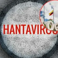 Secretaría de Salud anuncia medidas y seguimiento de hantavirus en Bogotá