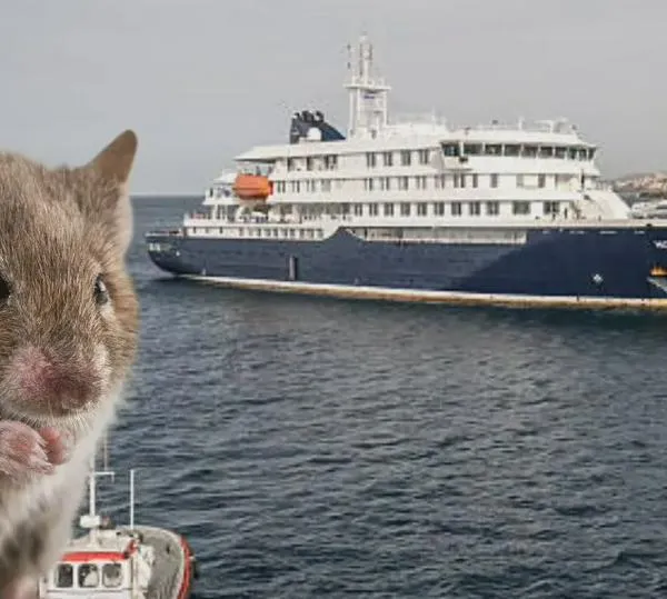 Aumentan los casos de hantavirus relacionados con crucero: pasajero sospechoso dio positivo