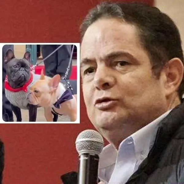 Por qué llevaron a dos perros en el funeral de Germán Vargas Lleras en Colombia