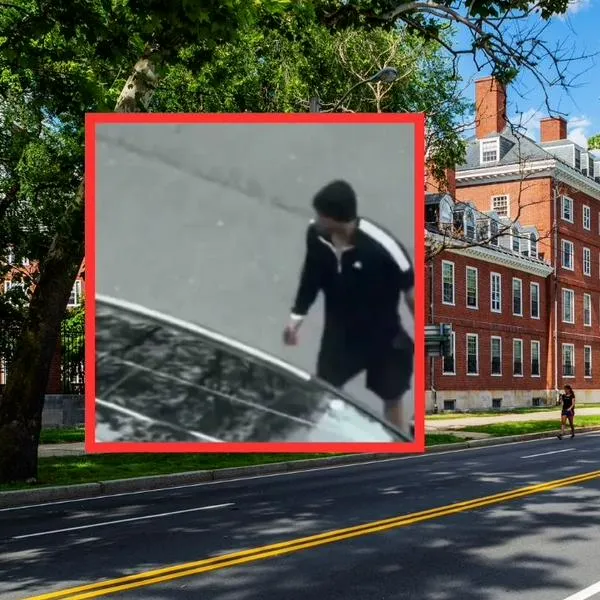 Momentos de terror por tiroteo cerca de Harvard en Cambridge (Estados Unidos)