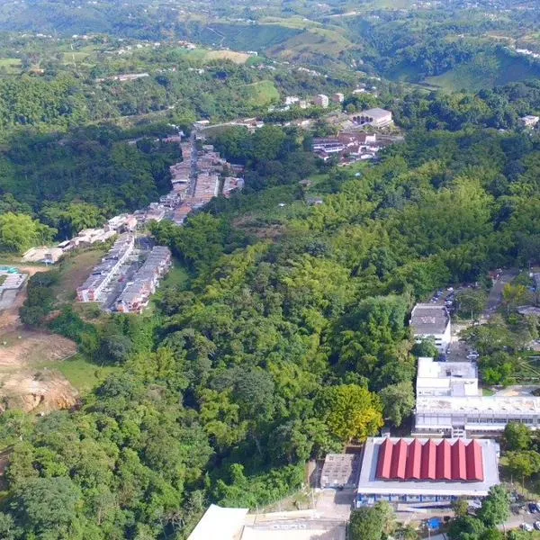 Risaralda con la mejor universidad del Eje Cafetero