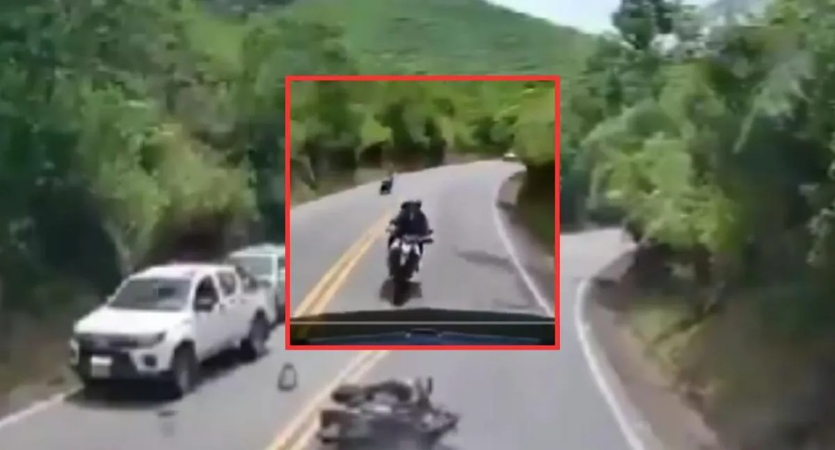Imagen representativa del artículo