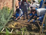 Estudiantes de Bosa crean aula viva de aprendizaje biodiverso con el Jardín Botánico 