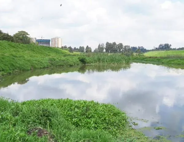 Recuperadas 116 hectáreas del río Bogotá para reducir inundaciones y restaurar ecosistemas 