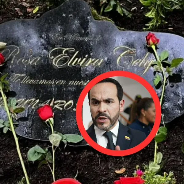 Duras acusaciones contra Abelardo de la Espriella. La hermana de Rosa Elvira Cely reveló maltratos del abogado y desmintió su autoría en la ley de feminici