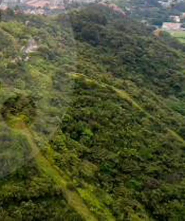 Plan candado en Medellín: así cuidarán los 7 cerros tutelares ante riesgo de incendios forestales