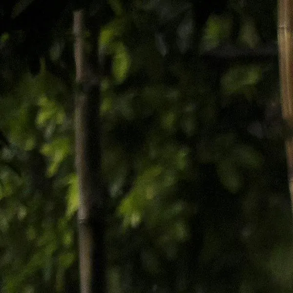 Defensoría alerta crisis humanitaria en Colombia: más de 54.000 personas afectadas por violencia y confinamientos en 2026