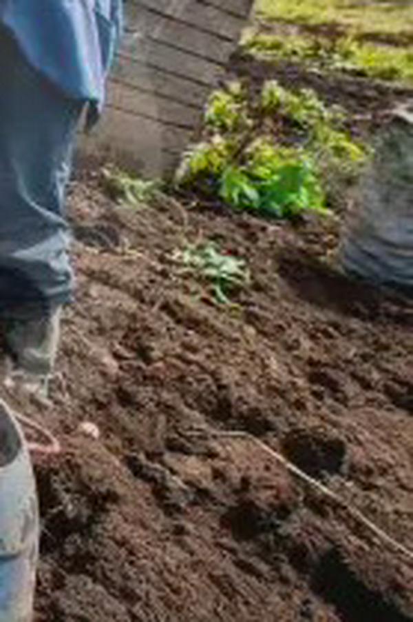 Radican ponencia para crear contrato agrario y formalizar el trabajo rural en Colombia