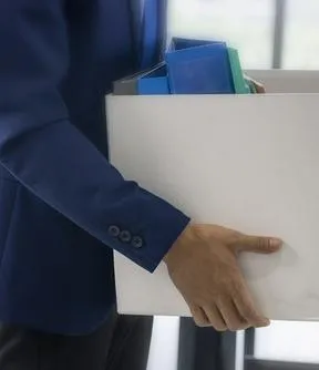 Imagen representativa del artículo