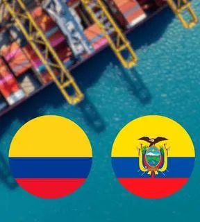 Imagen representativa del artículo