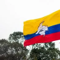 Cuerpos de disidentes de Farc muertos en combates en Guaviare tenían explosivos