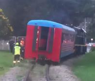 Aclaran susto por supuesto accidente del Tren de la Sabana: hubo novedad inesperada