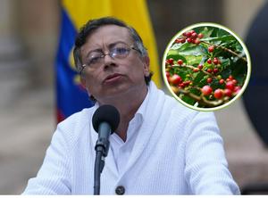 imagen nota inferior