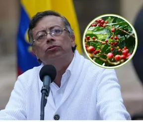 Imagen representativa del artículo
