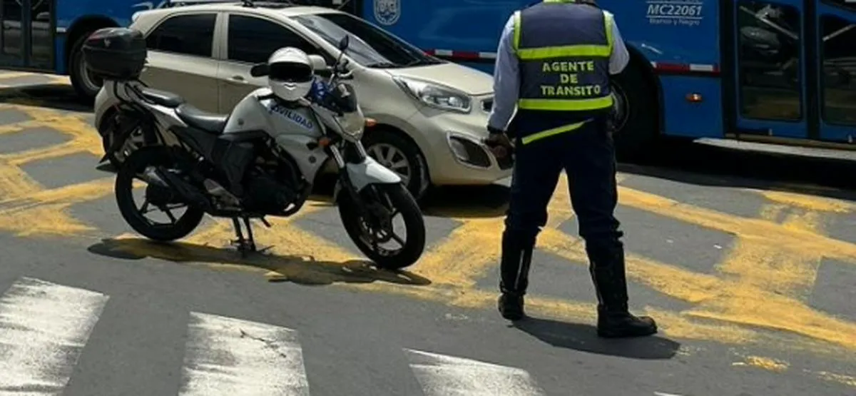 Imagen representativa del artículo