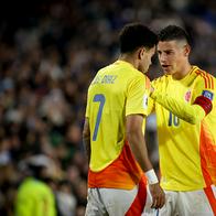 Revelan nombre de la persona que puso tutela a James Rodríguez y a Luis Díaz