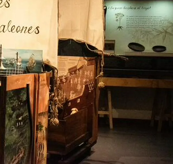Una exposición interactiva busca acercar al público al galeón San José y su época