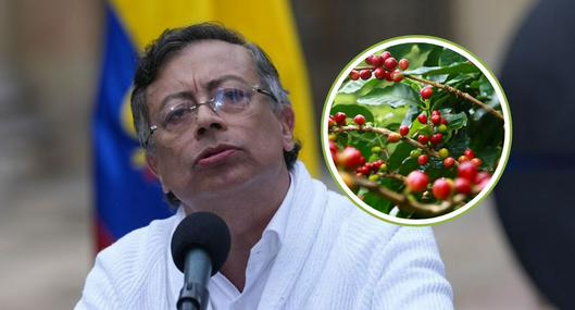 tarjeta noticia