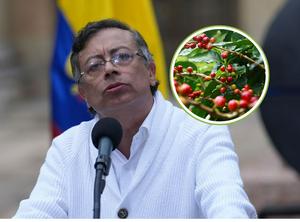 imagen nota inferior
