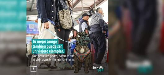 tarjeta noticia