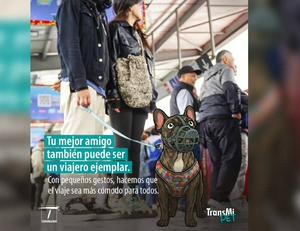 imagen nota inferior