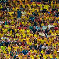 Hinchas de la Selección Colombia