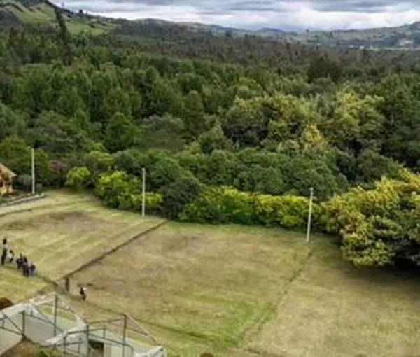 Primer jardín botánico de páramo protegerá 209 hectáreas en Cundinamarca 