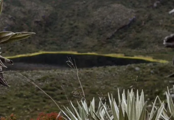 ¿Cuál es el páramo más cercano a Cali que se puede visitar? tiene imponente laguna