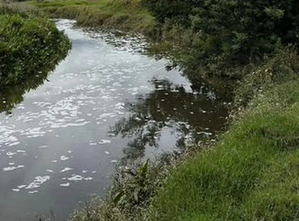 El río Bogotá mejora, pero las deudas ambientales ralentizan su recuperación 