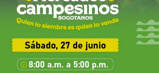 tarjeta noticia