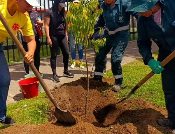 Jardín Botánico de Bogotá recuperó el arbolado joven de los andenes del Complejo Logístico San Cayetano 
