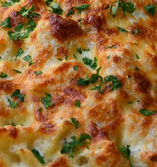 Canelones de pollo con champiñones y crema de leche al horno