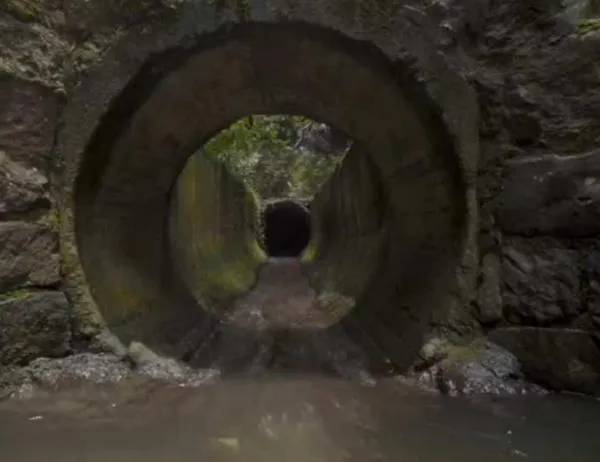 Taller 'Mapas de agua y microrrelatos de memoria' en la Galería Santa Fe en Bogota: asiste en julio y agosto 