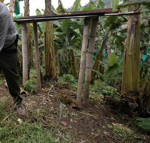 Piden a la Fiscalía investigar supuestas amenazas a campesinos en Meta, Magdalena y Córdoba