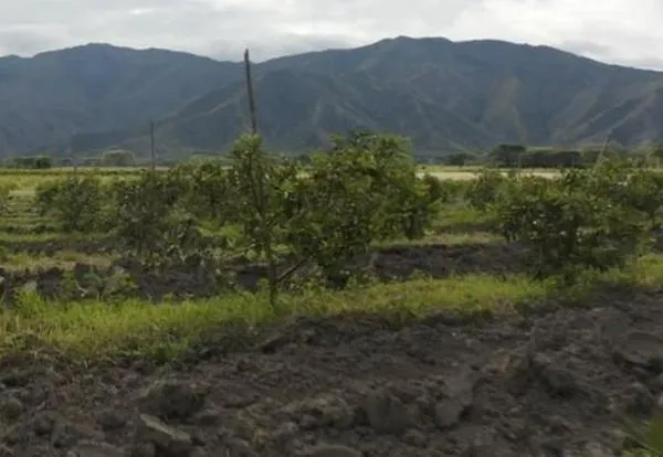 Levantan bloqueos en vías del Valle del Cauca tras acuerdos entre comunidades y el Gobierno