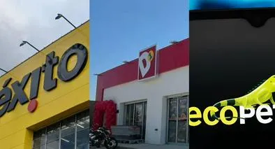 ¿Cuáles fueron las empresas con más ventas ganancias en Colombia durante 2025