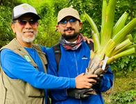 Jardín Botánico de Bogotá reintroduce bromelias epífitas en bosques urbanos como parte de un plan piloto de conservación