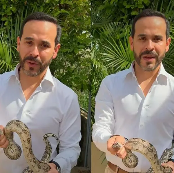 Serpiente en la casa de Abelardo De la Espriella: explica cómo será nuevo reto