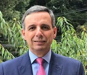 Imagen representativa del artículo
