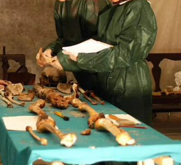 Análisis de ADN antiguo ayuda a resolver misteriosa muerte de hace casi 500 años 