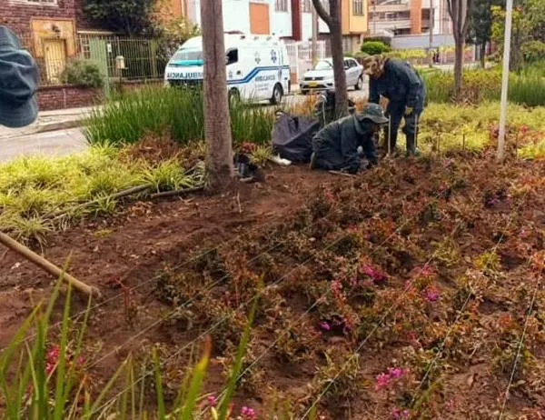 Jardín Botánico de Bogotá llegó al barrio Palermo para recuperar la belleza floral de su jardinera 