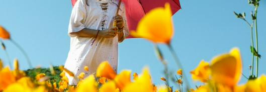 Pronóstico del clima para hoy martes: ¿lloverá en algún momento del día?