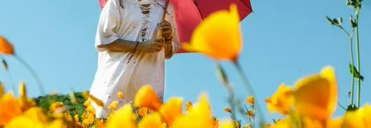 Pronóstico del clima para hoy martes: ¿lloverá en algún momento del día?