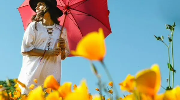 Pronóstico del clima para hoy martes: ¿lloverá en algún momento del día?