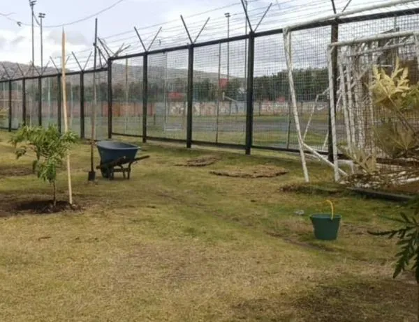 Jardín Botánico replantó árboles especies nativas en El Templete Eucarístico del parque El Tunal 