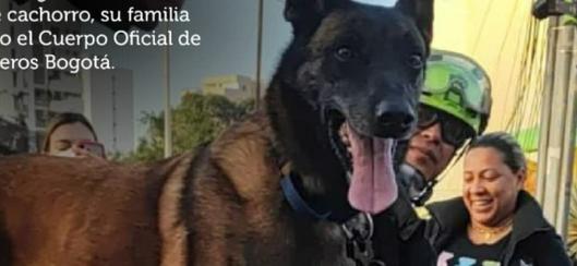 tarjeta noticia