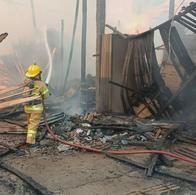 Incendio en depósito de maderas dejó dos perros muertos y dos más heridos en Bello, Antioquia