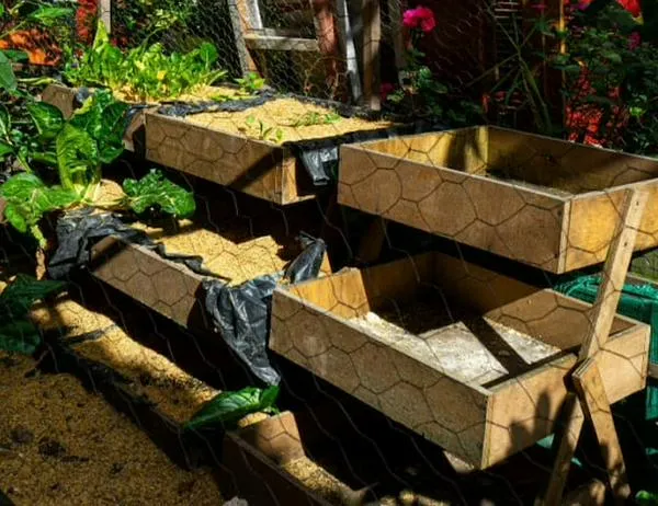 Talleres de agricultura urbana del Jardín Botánico llegan a La Candelaria: agéndate este sábado 11 de julio  