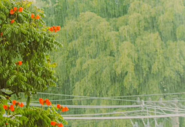 Conozca el pronóstico del clima para Cali este fin de semana: ¿Lloverá?